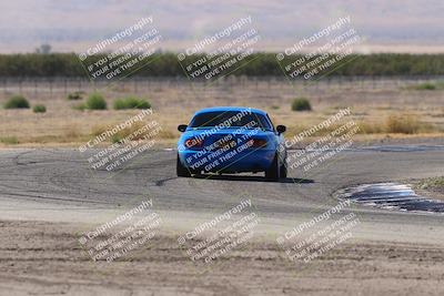 media/Oct-04-2025-OnGrid (Sat) [[44bd565ffa]]/Purple Group/Grapevine/